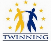 Проект Twinning: підсумки реалізації в Україні